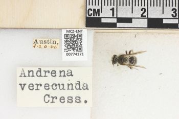 Media type: image;   Entomology 774171 Aspect: Labels